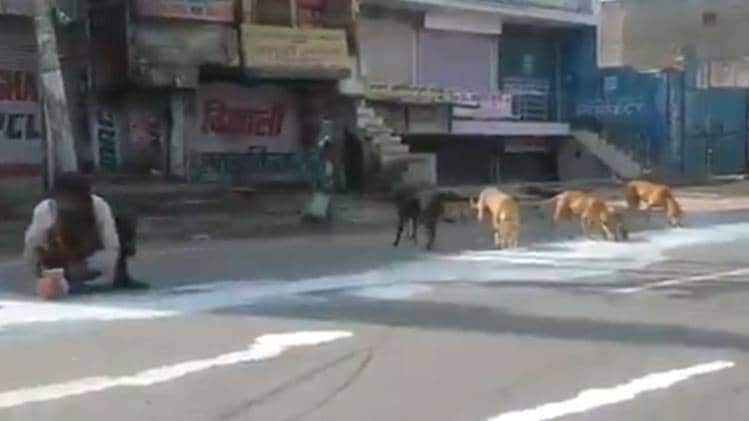 वायरल वीडियो से ली गई तस्वीर