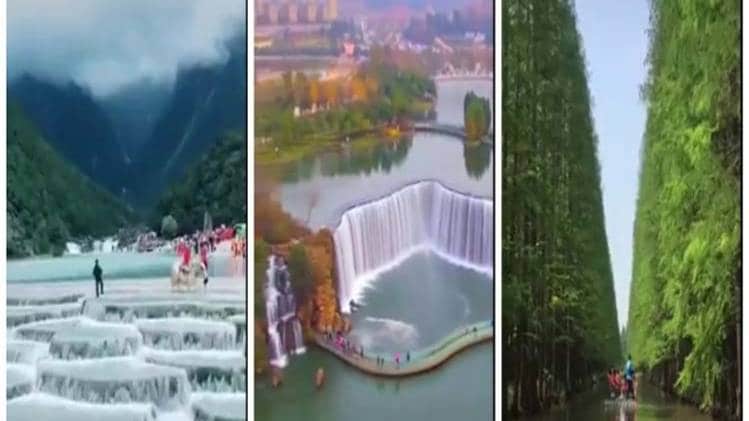 सोशल मीडिया पर वायरल वीडियो की तस्वीर