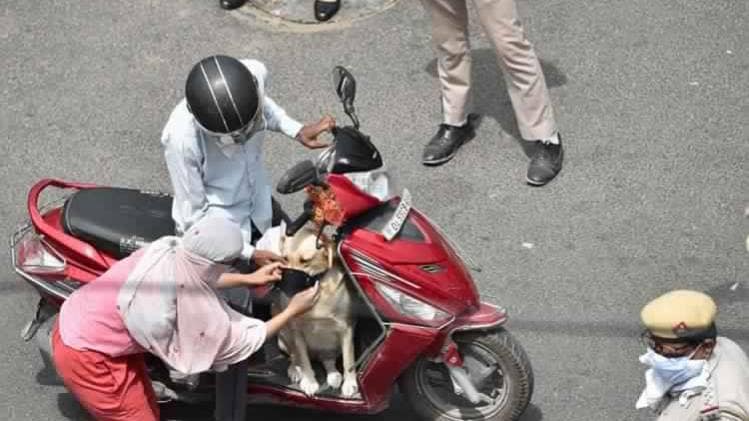 सांकेतिक तस्वीर (पीटीआई)