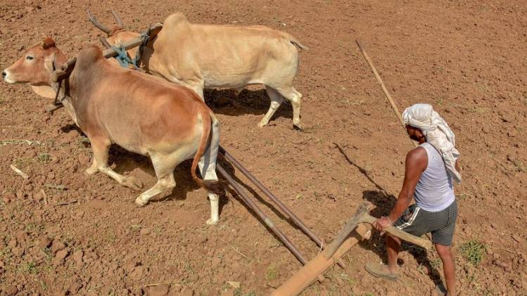 खेत में हल चलाता किसान (PTI फोटो)