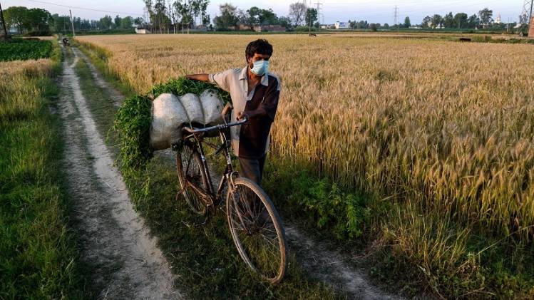 किसानों के मसले पर कांग्रेस ने पूछे सवाल (फोटो: PTI)