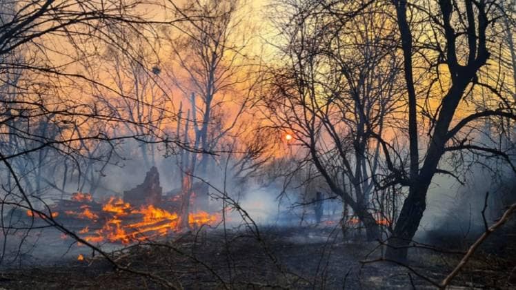 बिहार के कई जिलों में आग की घटनाएं सामने आई हैं (सांकेतिक तस्वीर-PTI)