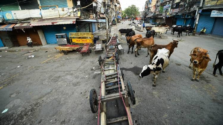 देश में 3 मई तक लगया गया है लॉकडाउन (फाइल फोटो-PTI