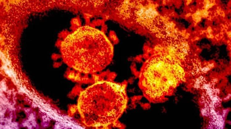 भारत में भी कोरोना का कहर (Image: Reuters)