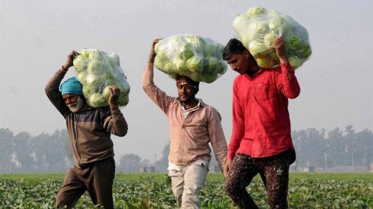 सब्जी किसान (PTI-फोटो)