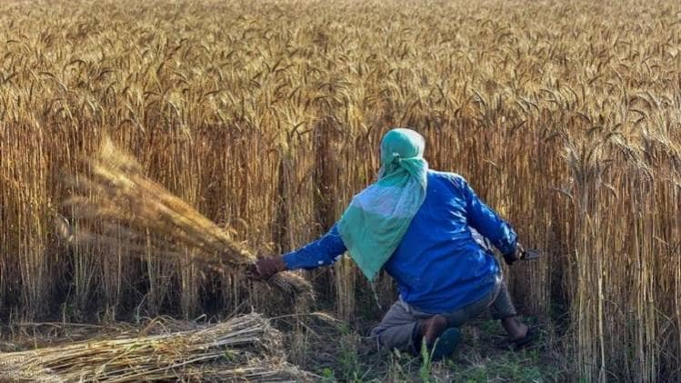 फाइल फोटो-पीटीआई