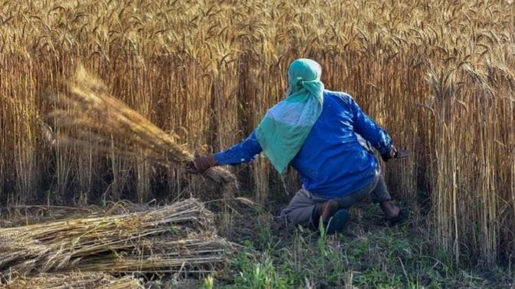 फाइल फोटो-पीटीआई