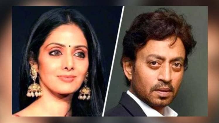 श्रीदेवी और इरफान खान