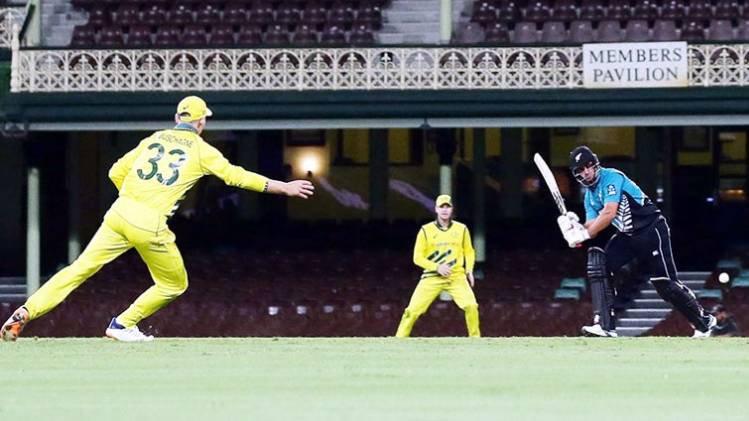 Cricket Australia is set to begin the team's pre-season later this month  (File Photo)