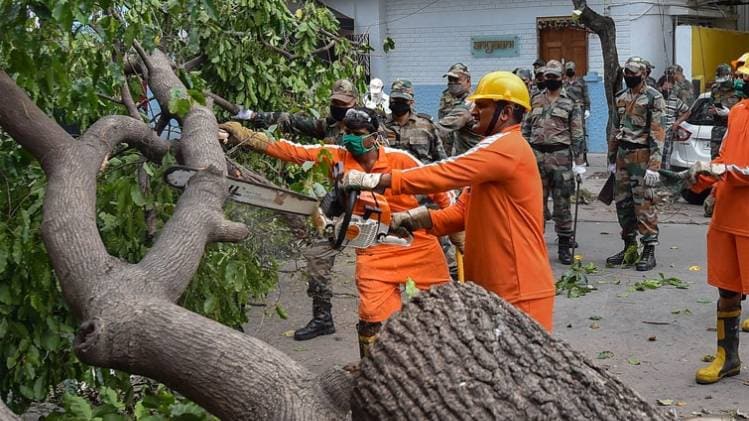 बंगाल में साइक्लोन से गिरे पेड़ों को हटाने में जुटा प्रशासन (पीटीआई)