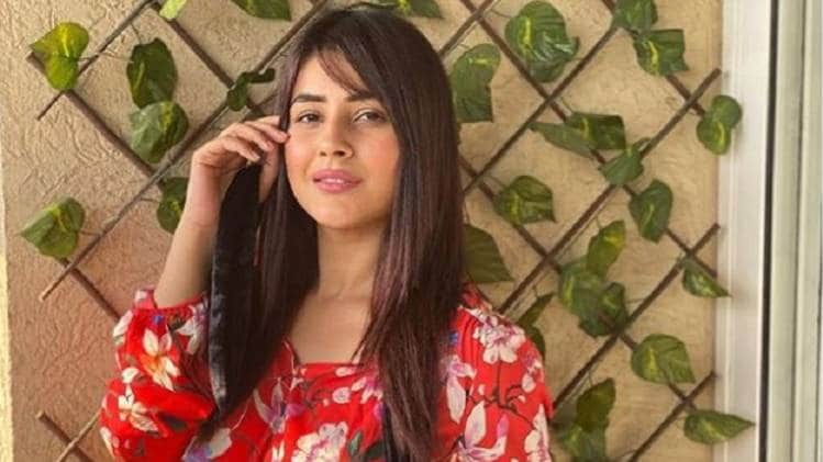 शहनाज गिल