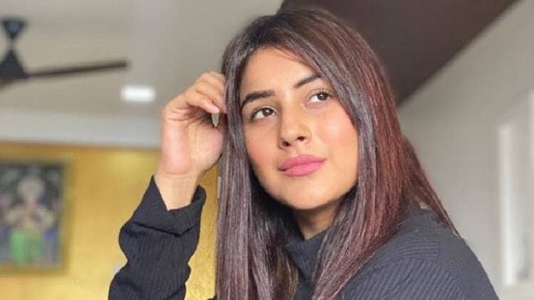 शहनाज गिल