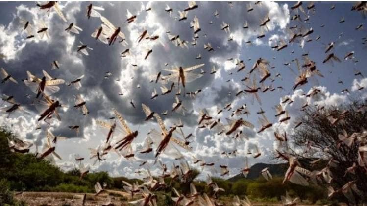 फोटो साभार-इंडिया टुडे