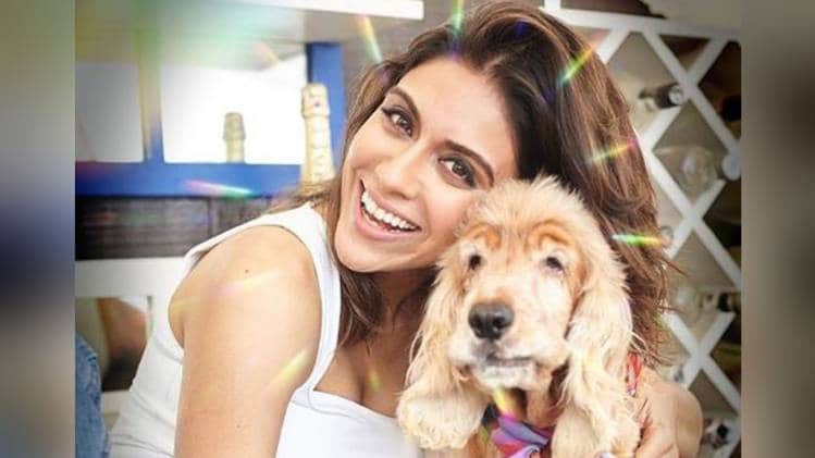 जोआ मोरानी