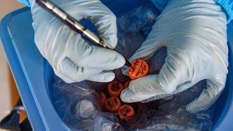 सांकेतिक तस्वीर