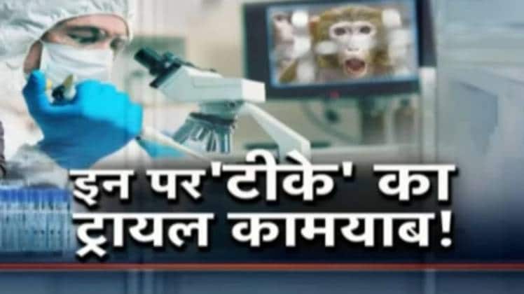 कोरोना की दवा बनाने के लिए कई देशों के वैज्ञानिक और डॉक्टर रात दिन रिसर्च कर रहे हैं