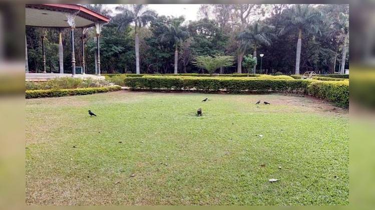 प्रतीकात्मक तस्वीर