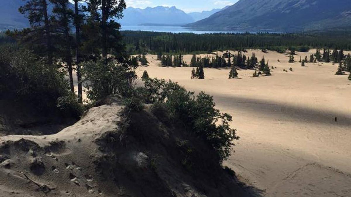 युकोन सूबे में कारक्रॉस डेजर्ट (फोटो- फेसबुक)