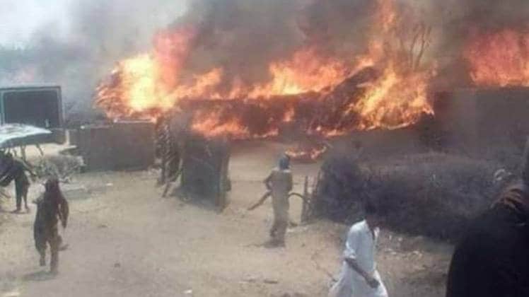 वायरल तस्वीर