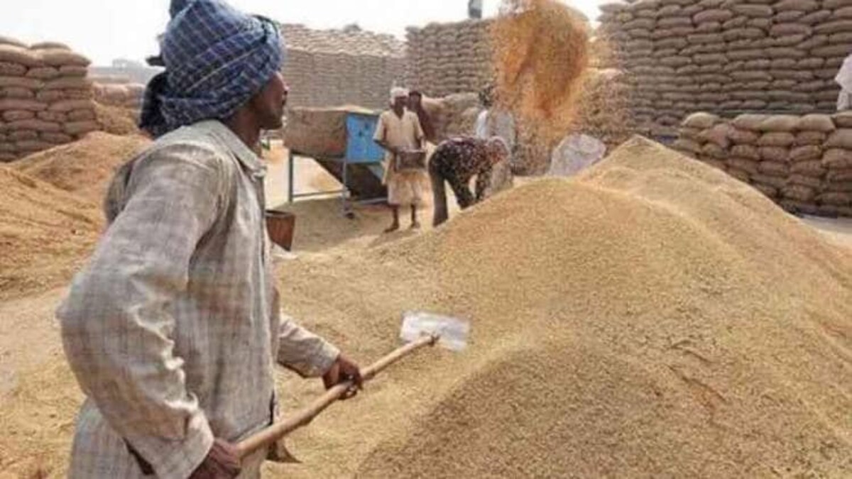 भारत में खाद्य कानून में बदलाव की तैयारी, कृषि एक्सपर्ट्स खुश नहीं, कर रहे आगाह - modi government agricultural reforms farmers private market permits model apmc act expert tpt - AajTak