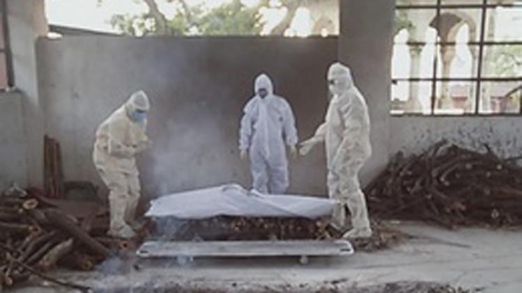 विष्णु और उनकी टीम पूरी मुस्तैदी से करती है काम 