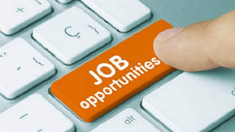 सरकारी नौकरी, NIELIT Recruitment 2020 