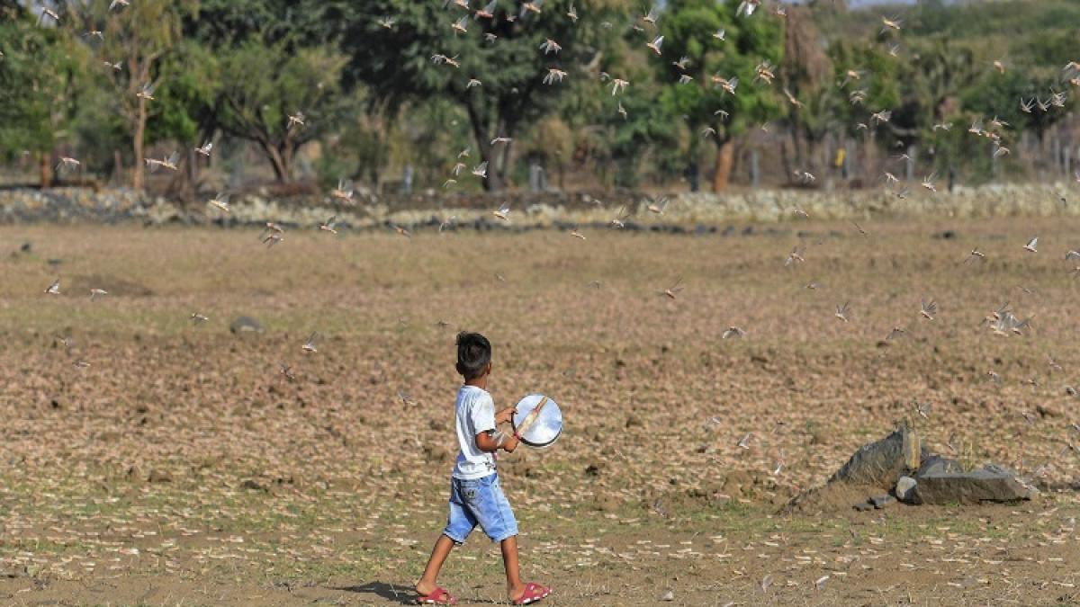 फाइल फोटो (PTI)