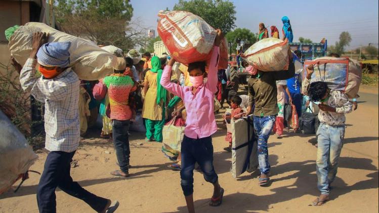 पेड़ पर झूला डाल शख्स पूरा कर रहा क्वारनटीन