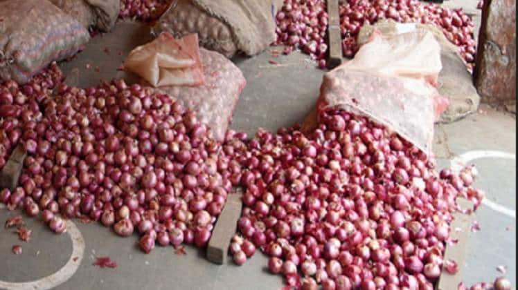 बिहार प्याज पर कोरोना की मार, खेतों में उपज छोड़ने को मजबूर किसान