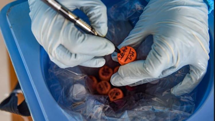 प्रतीकात्मक तस्वीर 