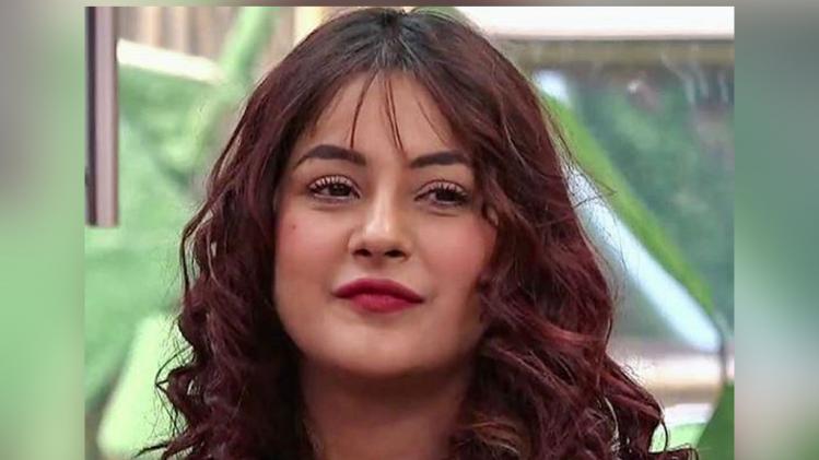 शहनाज गिल