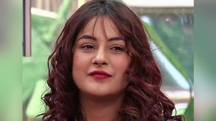 शहनाज गिल