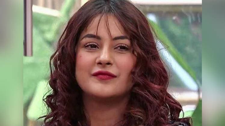 शहनाज गिल