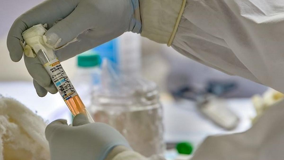 फाइल फोटो-PTI