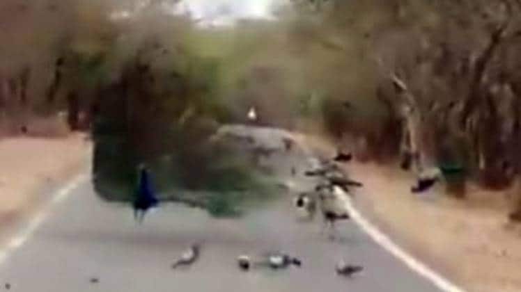 Photo from video tweeted by @praveenKaswan