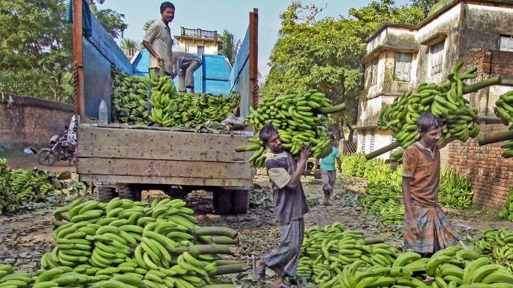 सांकेतिक तस्वीर