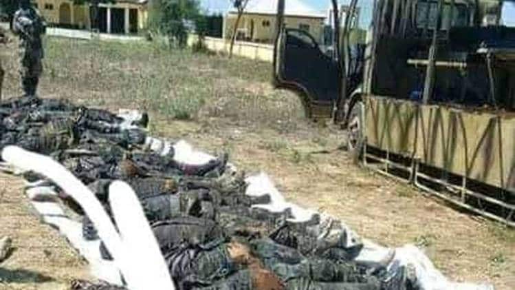 वायरल तस्वीर