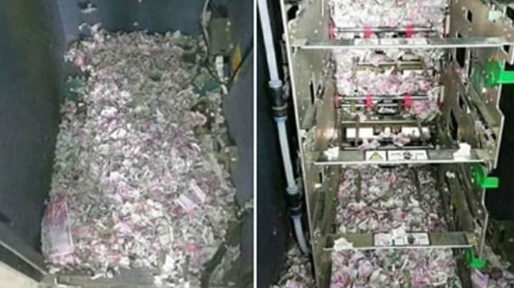 सोशल मीडिया यूजर्स