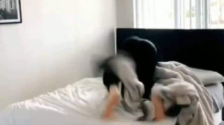 वायरल वीडियो का चित्र