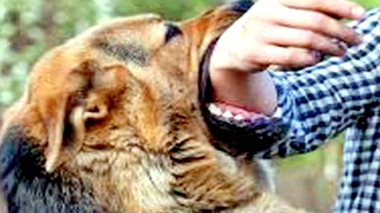 प्रतीकात्मक फोटो