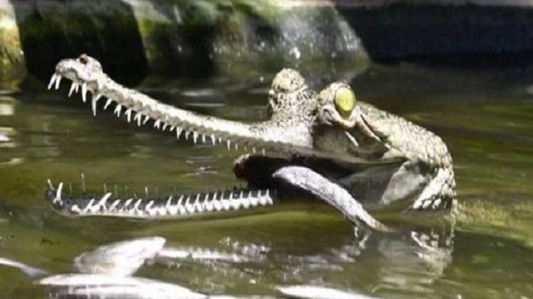 प्रतीकात्मक तस्वीर