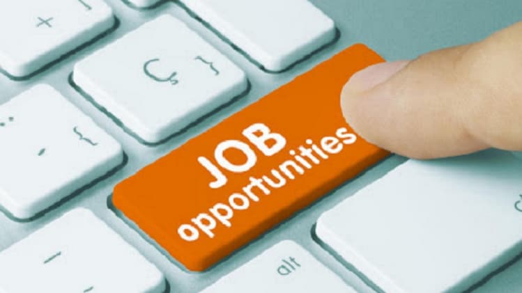 Sarkari Naukri, Govt Jobs, Bihar CHO Recruitment 2020