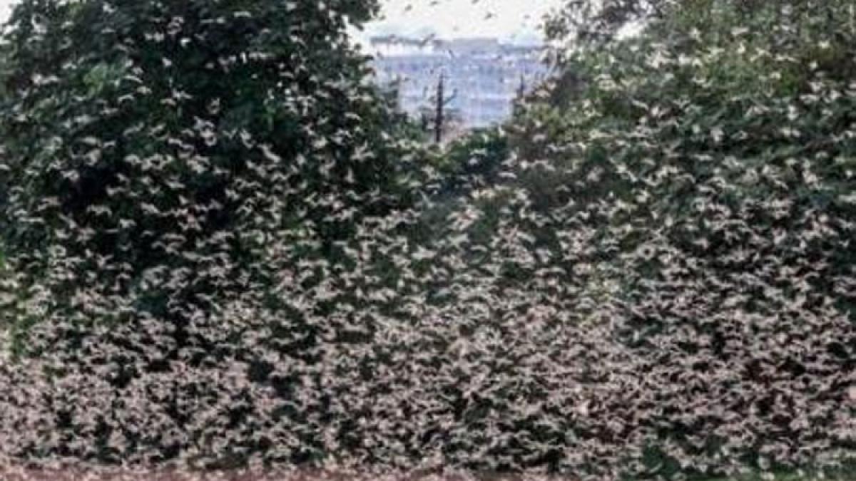 प्रतीकात्मक तस्वीर (पीटीआई)