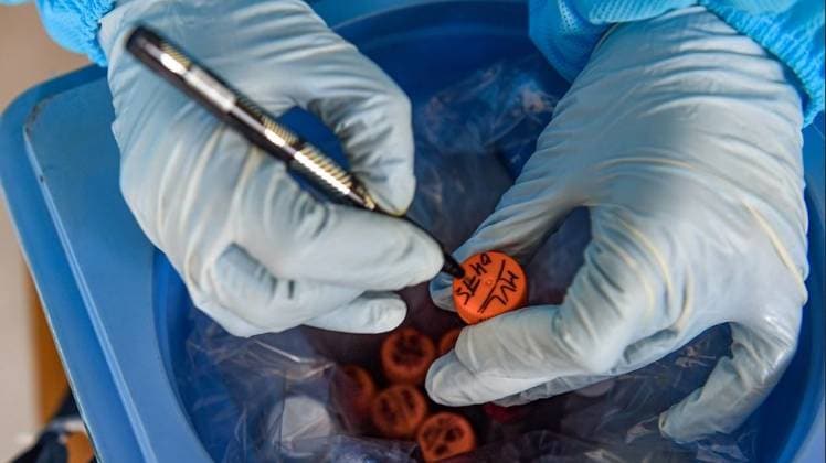 दिल्ली सरकार ने प्राइवेट लैब्स को भेजा कारण बताओ नोटिस (फाइल फोटो-PTI)