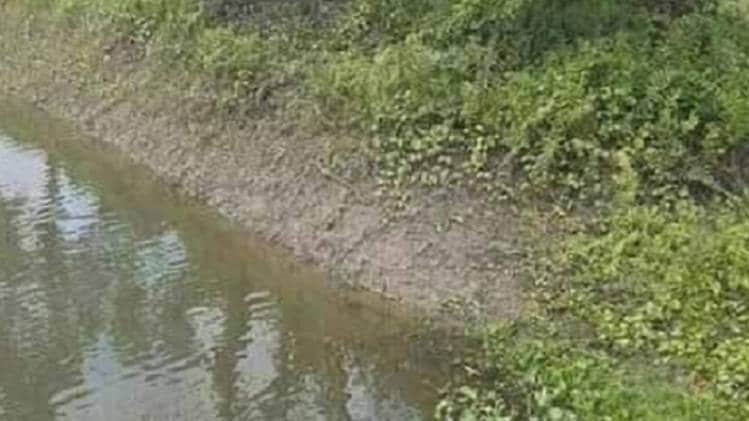 सोशल मीडिया यूजर्स