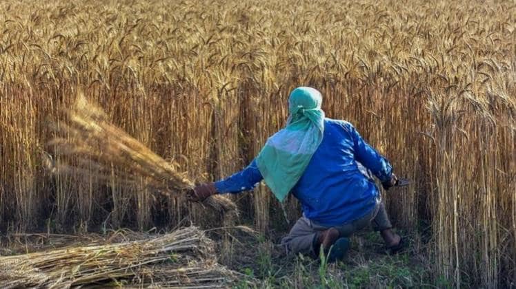 फाइल फोटो