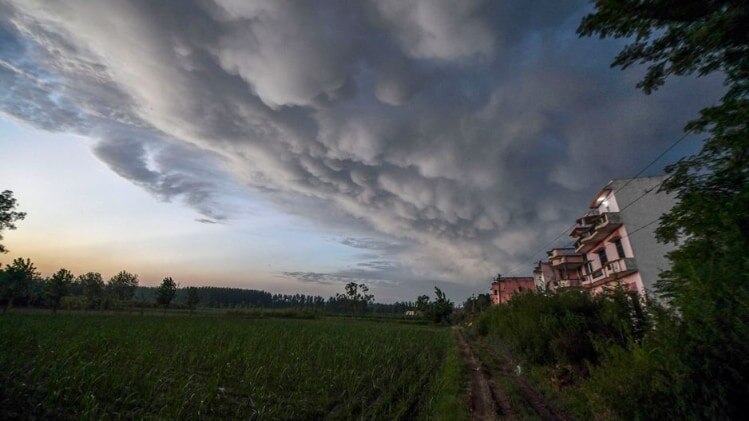 Weather Forecast today 25 July Live Updates, Delhi-NCR IMD weather Alert (मौसम का हाल)