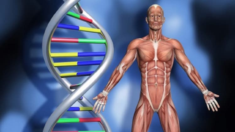 इम्यून सिस्टम खराब होने पर ही कोविड-19 जैसी बीमारियों का खतरा बड़ा होता है.