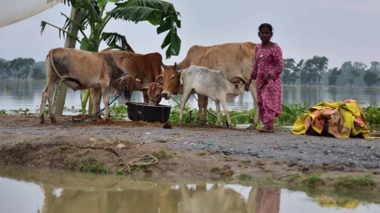 Assam Flood: असम में बाढ़