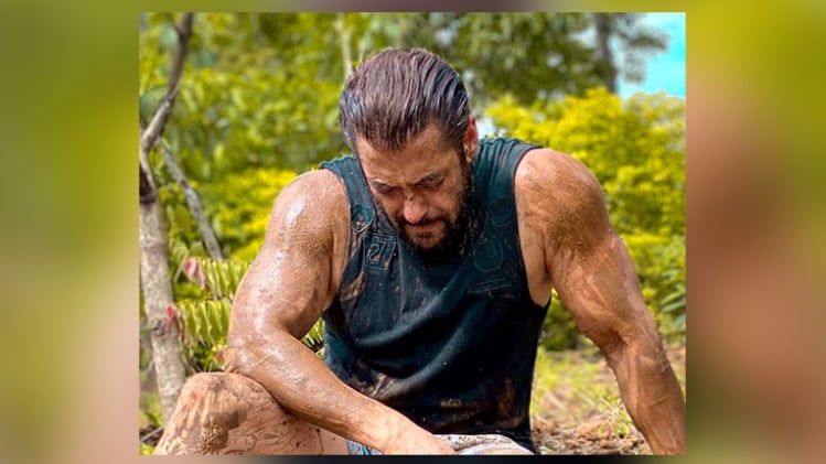 सलमान खान